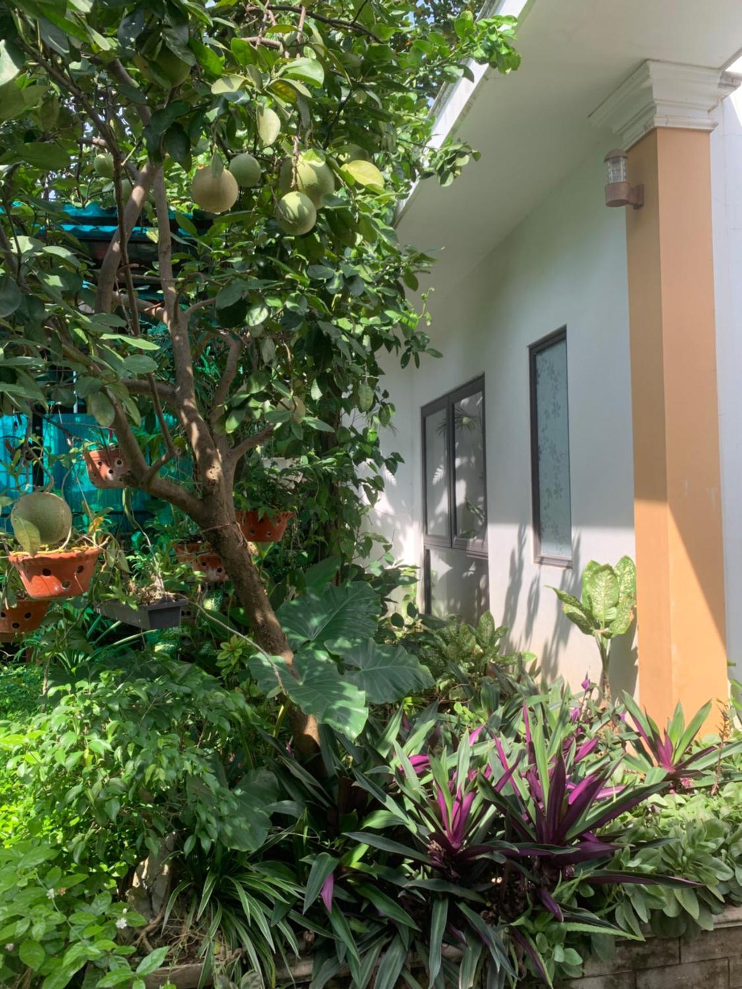 Tam Coc Minh Gia Homestay Ninh Binh Buitenkant foto