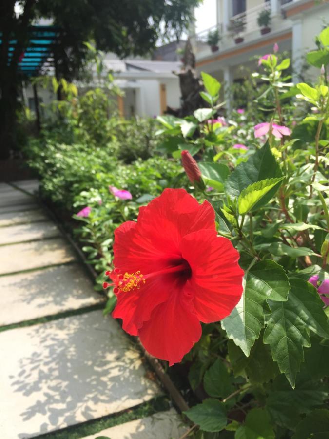 Tam Coc Minh Gia Homestay Ninh Binh Buitenkant foto
